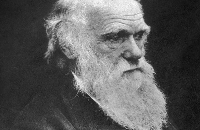 الصورة من منصة BBC